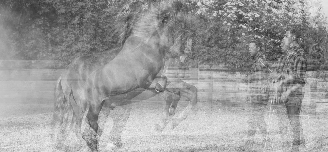 Student of the Horse - Our Philosophy