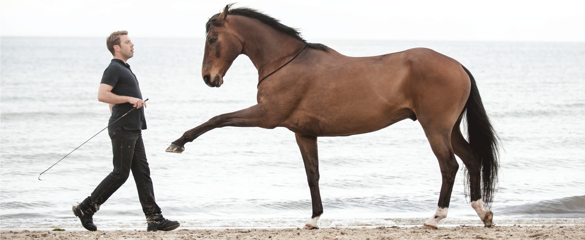 Student of the Horse