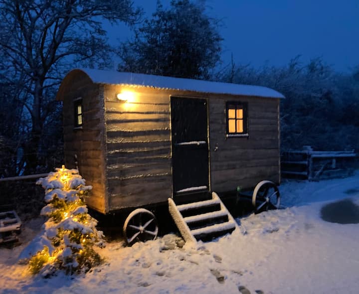 The Horse Lover's Retreat