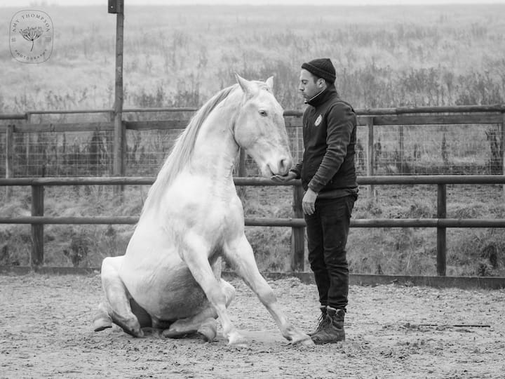 The Horse Lover's Retreat