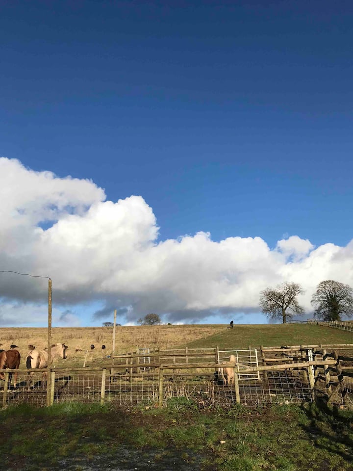 The Horse Lover's Retreat